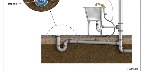 Plumbing diagram — Cardinal Home Inspections education