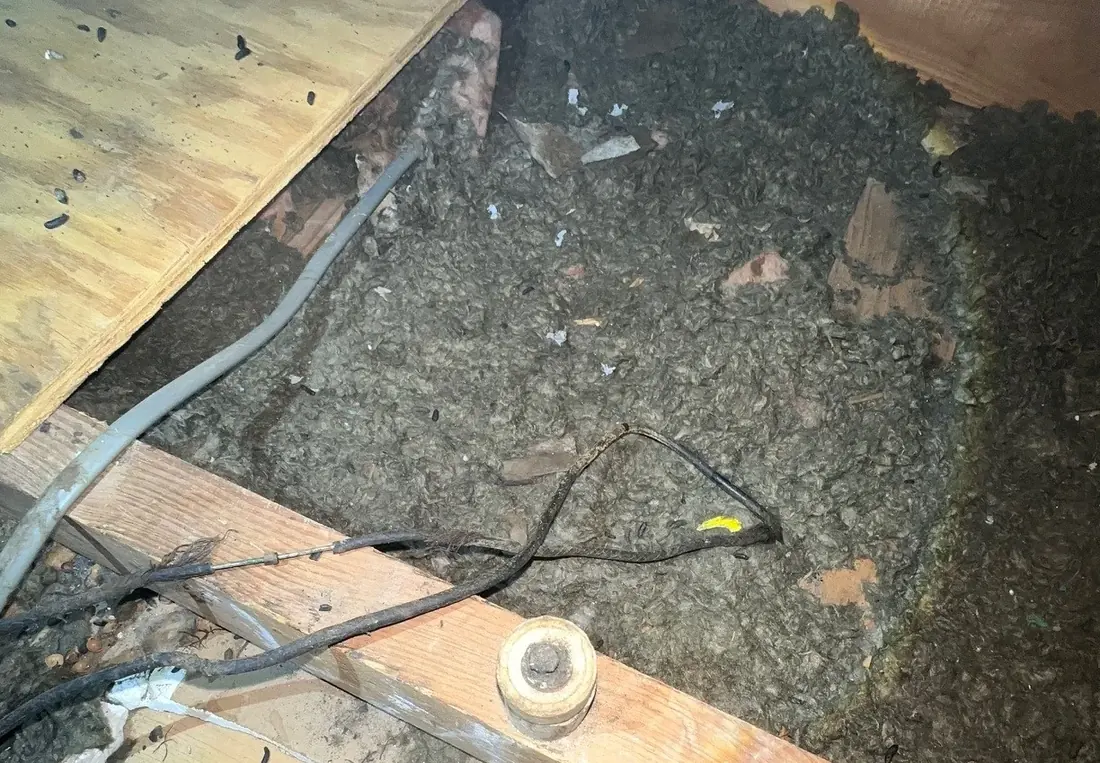 A closer view of knob and tube wiring in an attic showing a ceramic tube, old conductors, and a later junction box added nearby.
