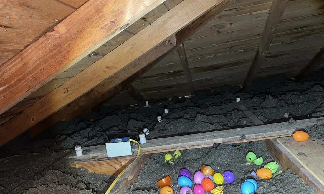Knob and tube wiring in an attic, with a white ceramic knob mounted on a joist and the original conductors partly buried in blown-in insulation.