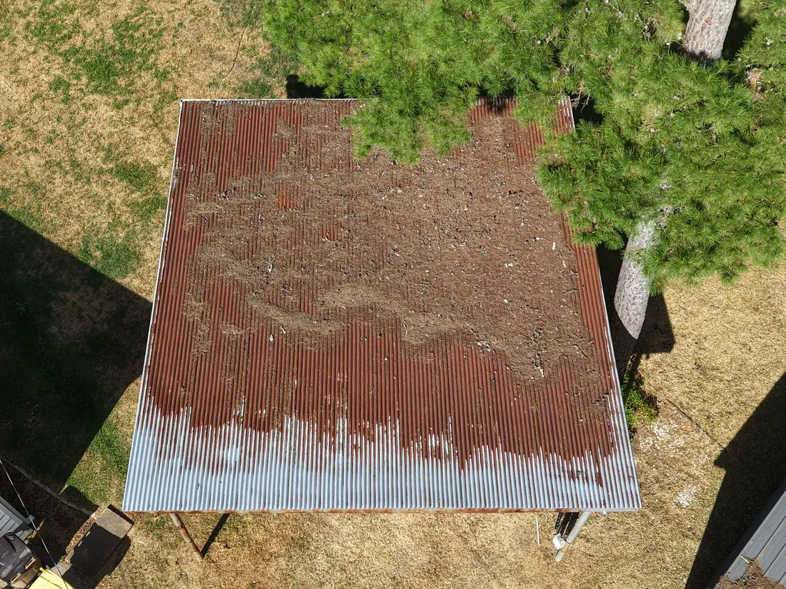 Overhead drone view of a corrugated metal outbuilding roof covered in pine needle debris with areas of surface rust