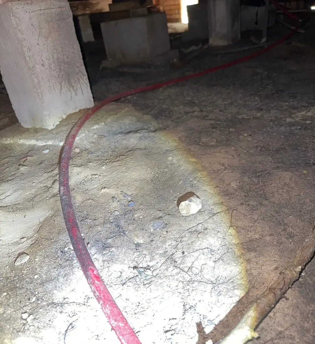 A red PEX water supply line lying directly on bare soil in a crawl space