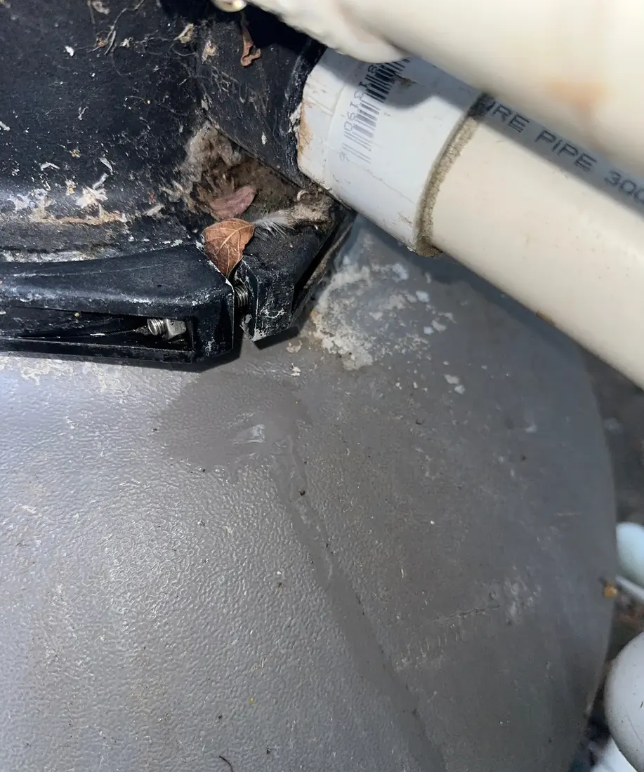 Water running down the side of a pool sand filter tank from a leaking connection above